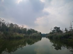 -白鹭湾湿地公园