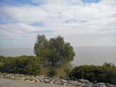 -深圳湾公园(南山区)