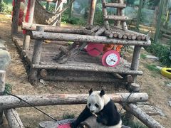 -大连森林动物园