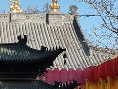 -护国法轮寺