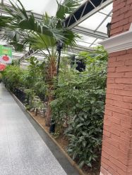 -特味村·宴会厅(生态园店)