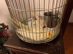 -雨林宠物医院 非犬猫异宠专科