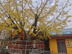 -会龙寺