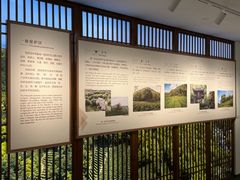 -中国茶叶博物馆(双峰馆区)