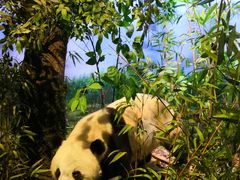 -陕西自然博物馆