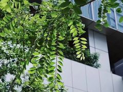 -伊势丹(现代城店)