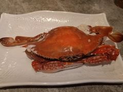 -滨海小渔村·海肠捞饭·鲅鱼水饺·特色老火鱼丸汤(华田店)