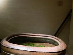 -觀芷隐轩