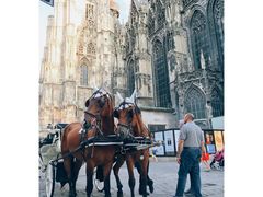 -斯蒂芬主教座堂(Stephansdom)