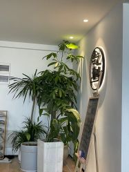 -吾之瑜生瑜伽普拉提学院