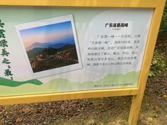 -佛山市三水区大南山森林公园