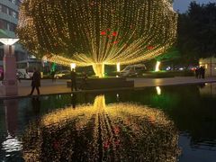 -重庆西南医院(西南院区)