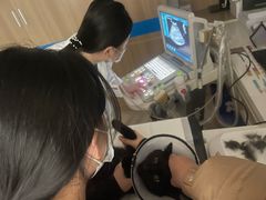 -艾贝尔宠物医院 ·中兽医·宠保定点(北门桥店)