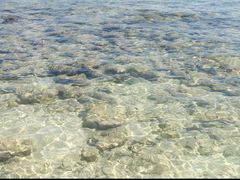 -东姑阿都拉曼海洋公园