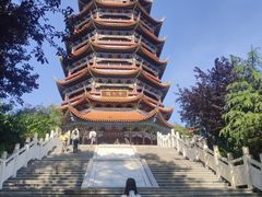 -铁山坪森林公园