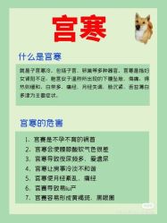 -香薇妮丝女子减肥院