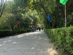 -皇藏峪国家森林公园