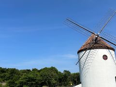 -济州森林小火车生态公园