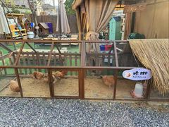 -HERRE·FARM 赫尔露营农场·团建聚会包场