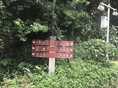 -广州市帽峰山景区