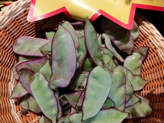 -湘悦回家(棠东店)