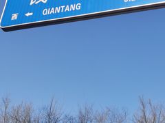 -哈尔滨道外花鸟鱼市场