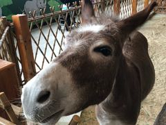 -华夏文旅西安度假区