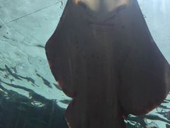 -悉尼海洋生物水族馆