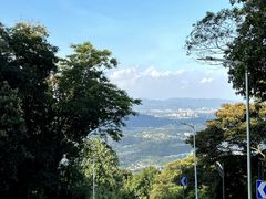 -黄埔油麻山森林公园