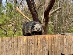 -云南野生动物园