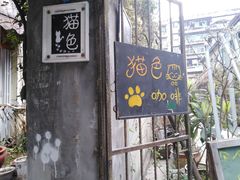 -猫色咖啡·猫咖