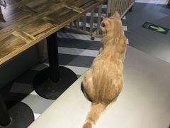 -小时光咖啡馆(开森度假森林店)