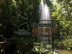 -绿光森林餐厅