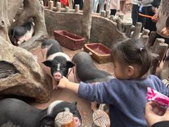 -长鹿旅游休博园