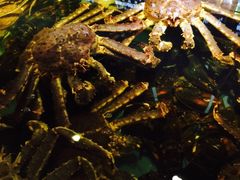 -蟹之国·精品蟹料理(极地店)