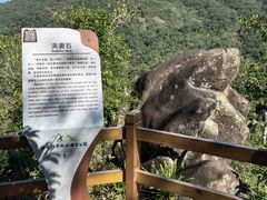 -海南霸王岭国家森林公园