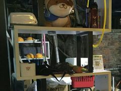 -柴犬高等学院·狗咖·柴犬售卖·宠物训练