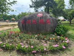 -鹅湖玫瑰文化园
