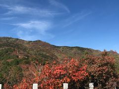 -北京西山国家森林公园