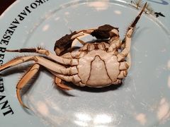 -松子料理(亮马桥店)
