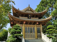 -上海东林寺(金山区)
