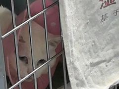 -天津前进宠物医院(前进道店)