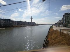 -芦潮港集贸市场