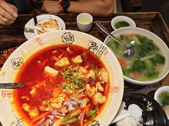 -陈麻婆豆腐(旗舰店)