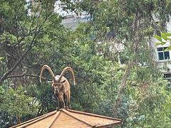 -昆明动物园