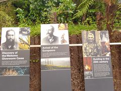 -怀托摩萤火虫洞