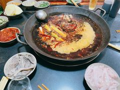 红锅-星鸿社重庆老火锅(燃灯寺分店)