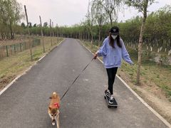-东郊湿地公园