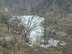 -北京鹫峰国家森林公园
