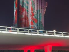 -演武大桥观景平台